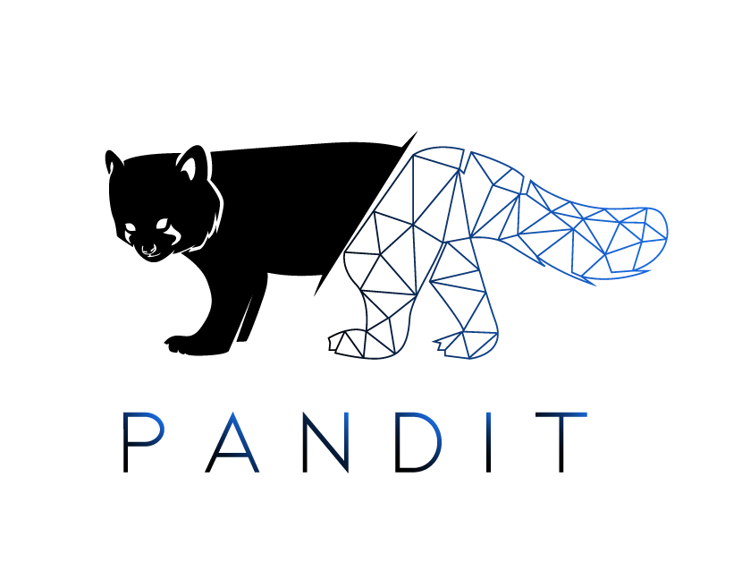 Logo PandIT - Patrice Maldi